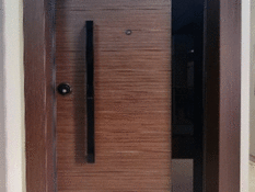 Security door wood and glass 