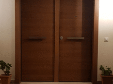 Security double door